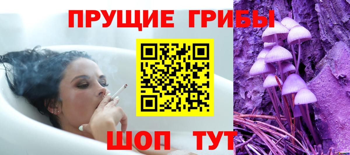 Галлюциногенные грибы Psilocybine cubensis  Вход с VPN  Полевской 